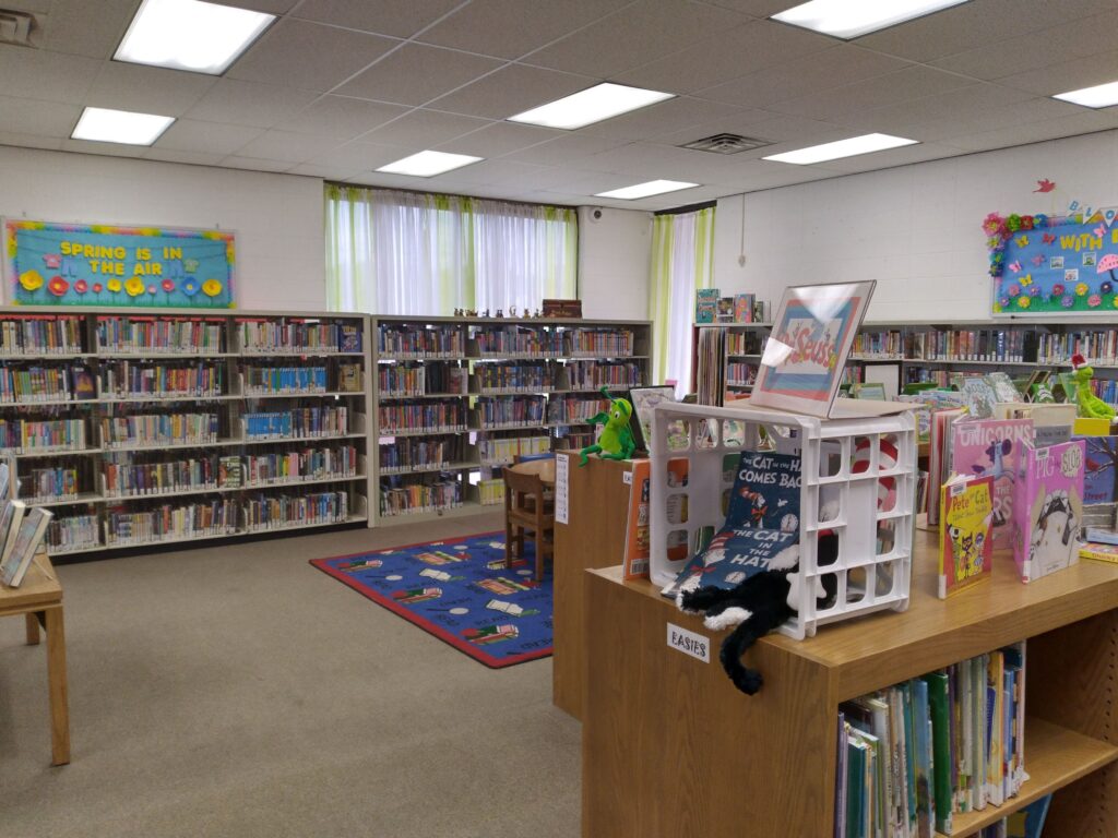 Animanga Club: Morinville Community Library
