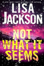 Link to the record for Not What it Seems by Lisa Jackson