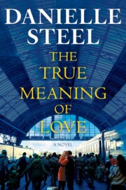 Link to the record for The True Meaning of Love by Danielle Steel