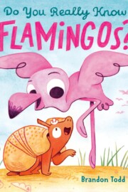 Link to the record for Do You Really Know Flamingos? by Brandon Todd