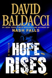 Link to the record for Hope Rises by David Baldacci