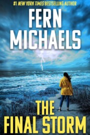Link to the record for The Final Storm by Fern Michaels
