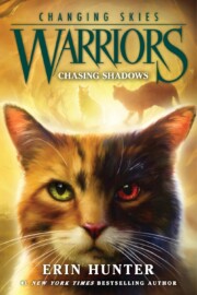 Link to the record for Chasing Shadows by Erin Hunter