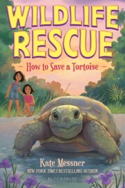 Link to the record for How to Save a Tortoise by Kate Messner