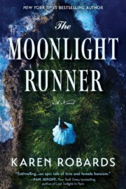 Link to the record for The Moonlight Runner by Karen Robards