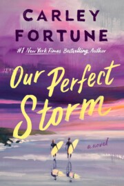 Link to the record for Our Perfect Storm by Carley Fortune